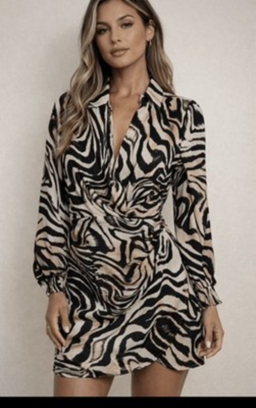 Anthropologie Zebra Print Long Sleeves V Neck Collard Dress Women’s Size 6 NWOT
